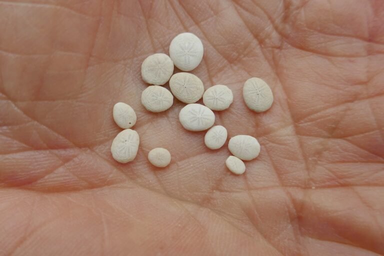 a person's hand holding a handful of white pills