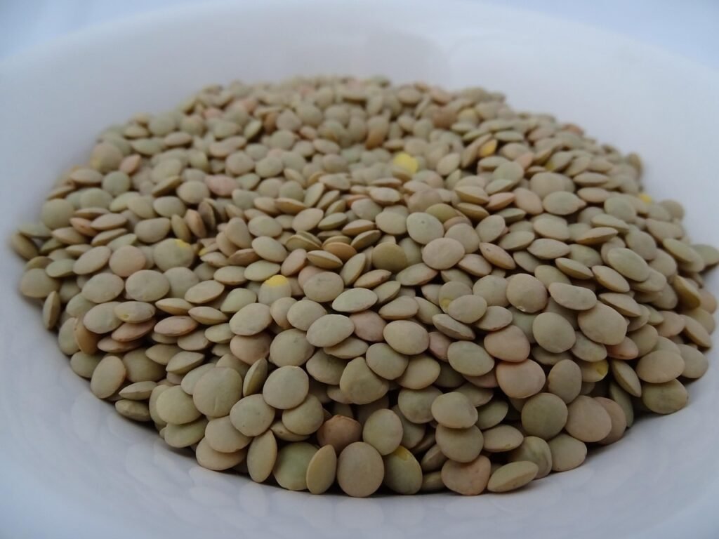 lentils, food, nutrition, lentils, lentils, lentils, lentils, lentils